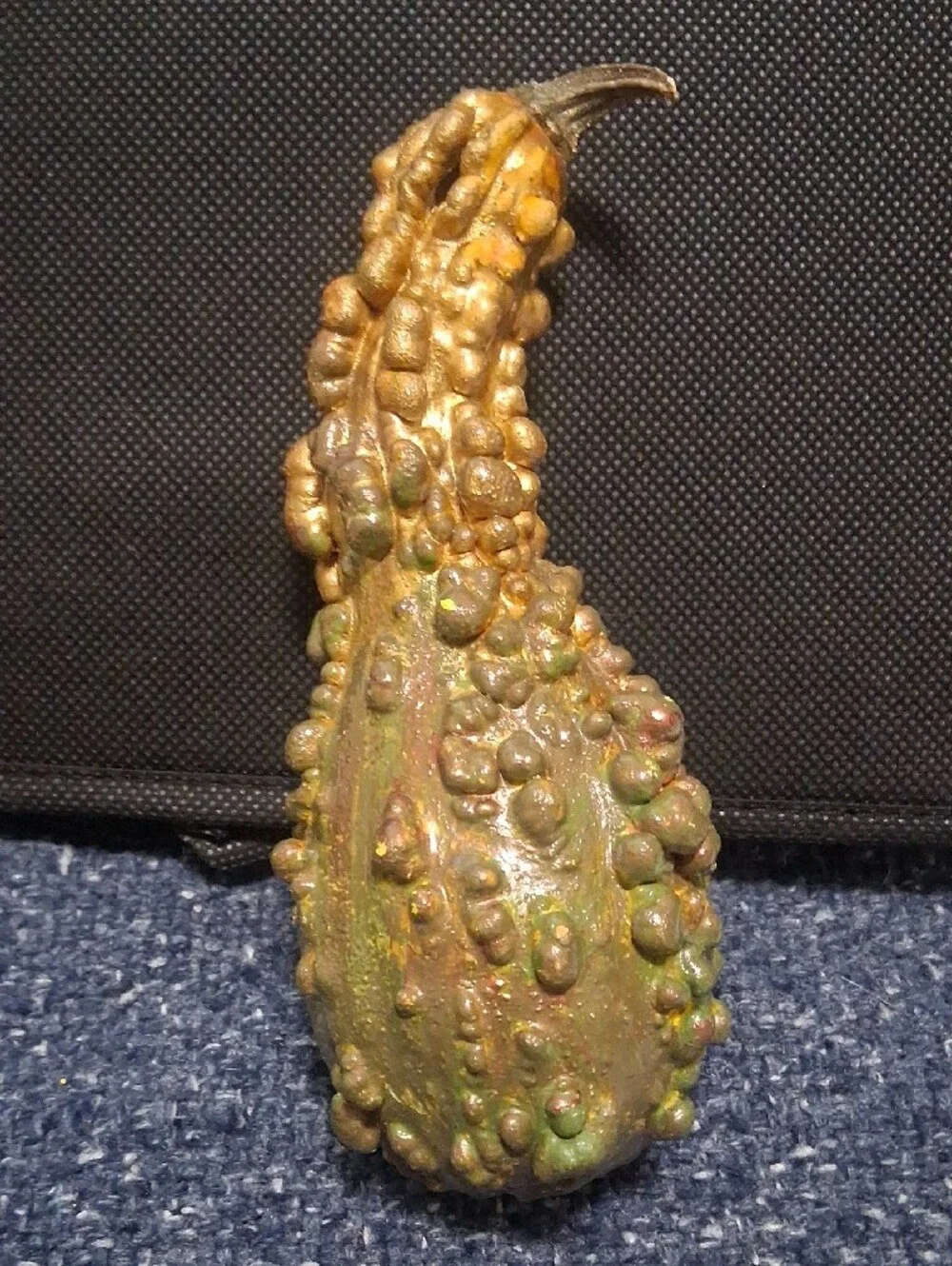 Decorative Dried Gourds-